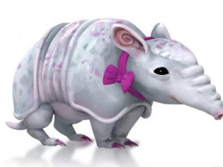 Armadillo