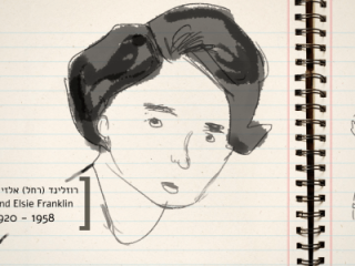 Rosalind  Franklin